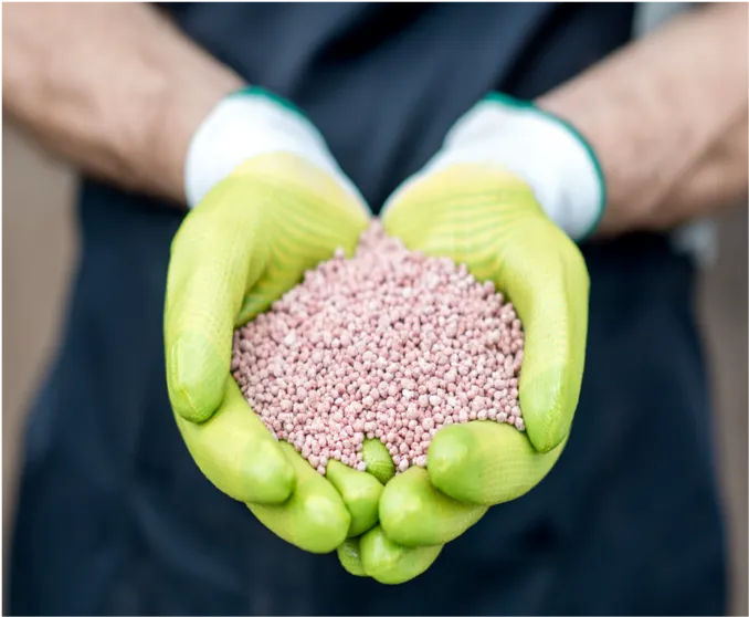 Hände, die Phosphor halten